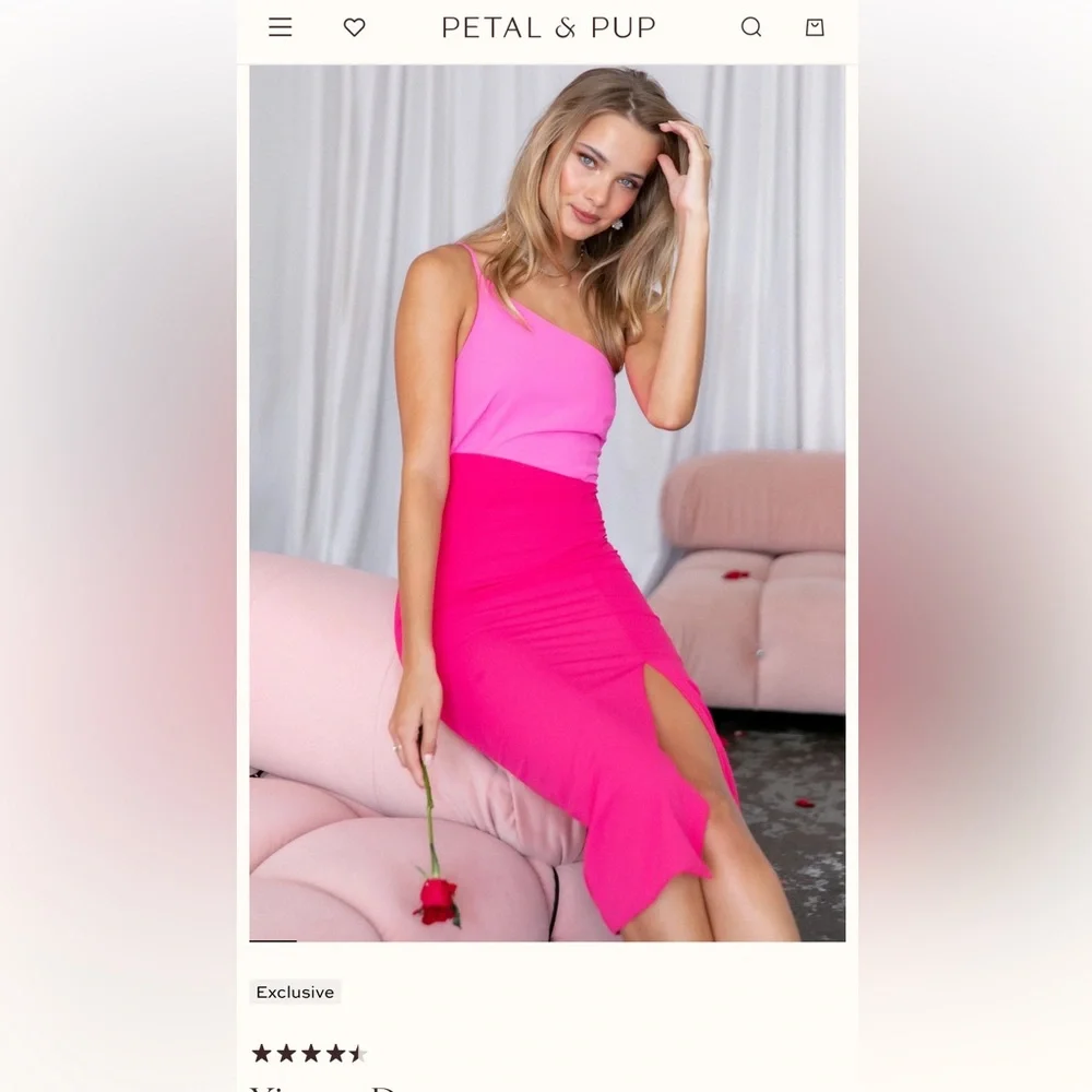 Petal & Pup Xiomar Dress size 2 - Picture 2 of 8